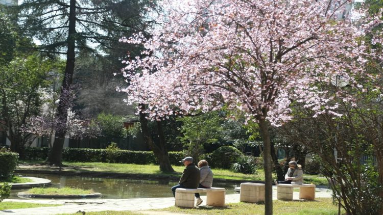 Spring is knocking! Citizens enjoy the good weather and beautiful nature