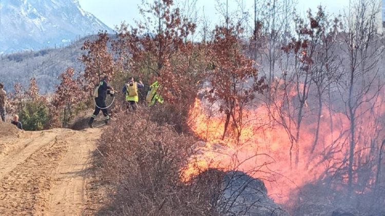 Intentional hearths! Dozens of hectares of land in Elbasan and Gramsh are burned