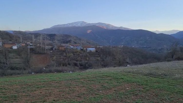 Chicken flu affects the village of Rreth Kalë in Peshkopi