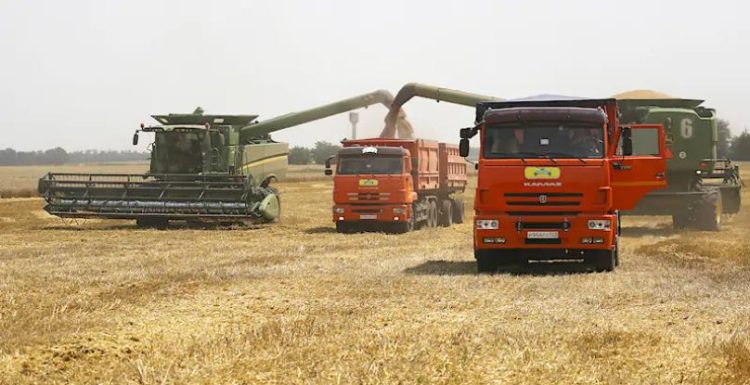 Rising grain and fertilizer prices could trigger a global food crisis