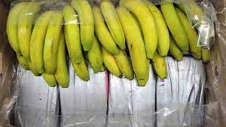 Greece / 100 kilograms of cocaine hidden in a container with bananas are seized