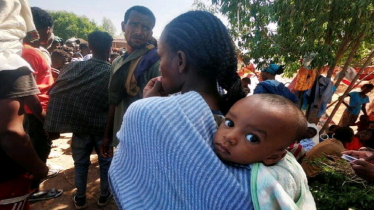 The head of the WHO raises the alarm: The place where the most endangered people in the world are located