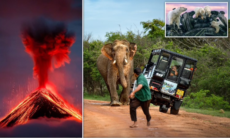 ‘Nature in all its glory’;  leitmotif of Germany’s prestigious photo competition (photos)