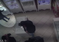 Not only Elsa… Emanuela and three Italian girls are caught stealing in Vlora