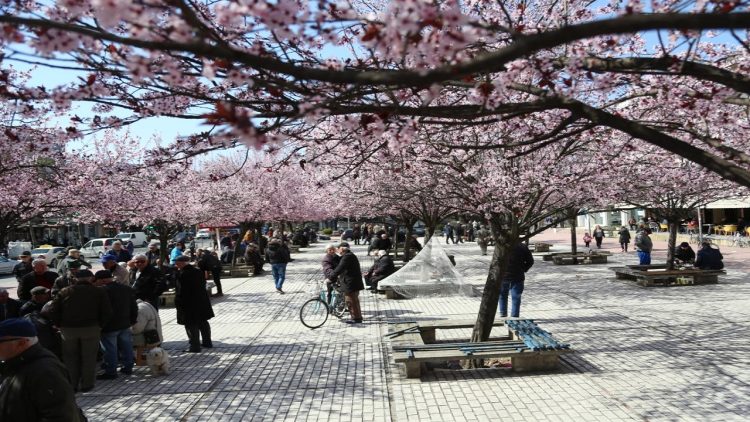 Kumbaro announces: From April 3, the first Sunday of each month will be car-free in major cities
