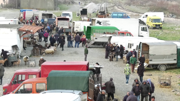 The birds are still sold! Top Channel in Milot market, has no control