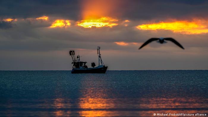How ships illegally dump oil into the sea without being punished