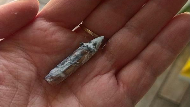 Stories from the war!  The Ukrainian family returns home and finds only bullets