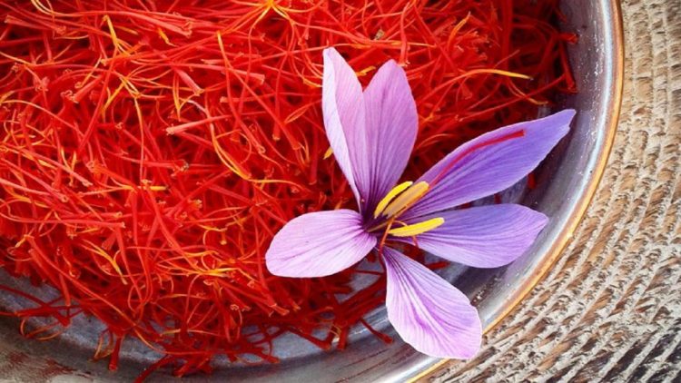 The most expensive spice in the world that grows in Albania