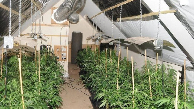 A grass house is discovered in Vlora