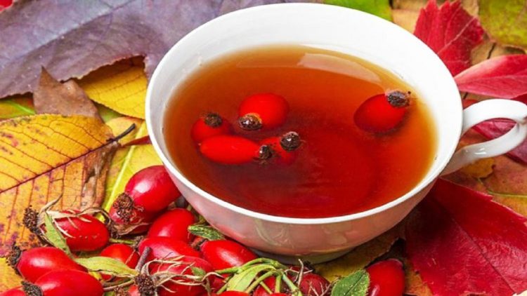 Cure with eight wild rose berries for the health of the whole organism