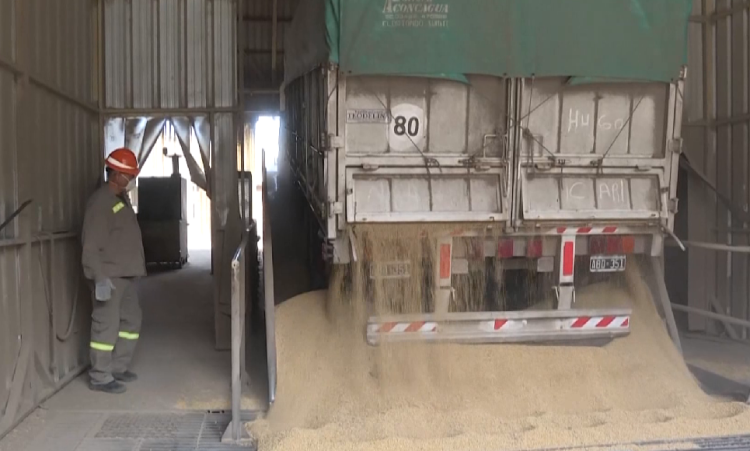 Others also benefit from Albania: Serbia, wheat throughout the Western Balkans
