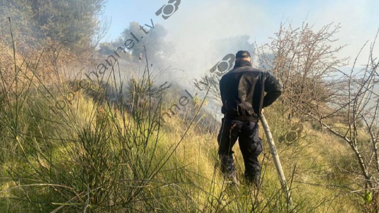 There is a fire in Zvërnec of Vlora, the roots with olive groves are burning