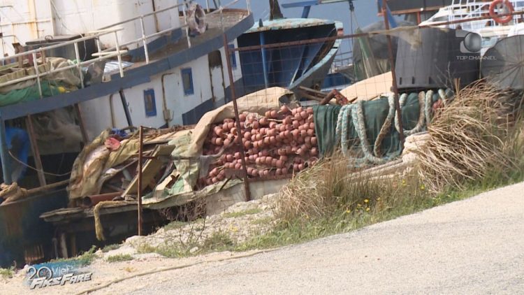 Unemployed fishermen in Vlora, the price of oil has forced them to turn off the engines: We will raise chickens on the boat
