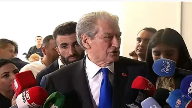 Who will lead the parliamentary group? / Berisha: Alibeaj is null, experts will appoint a new deputy chairman