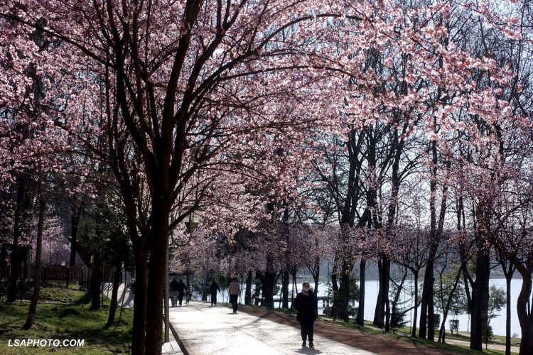 Temperatures up to 28 degrees! How is the weather forecast for today