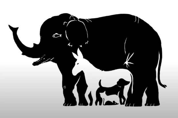 The number of animals you see in this optical illusion tells a lot about your attention to detail (photo)