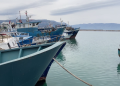 No oil for ships!  Fishing is prohibited in Vlora, no trawler in the sea