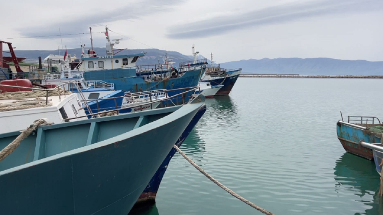 No oil for ships! Fishing is prohibited in Vlora, no trawler in the sea