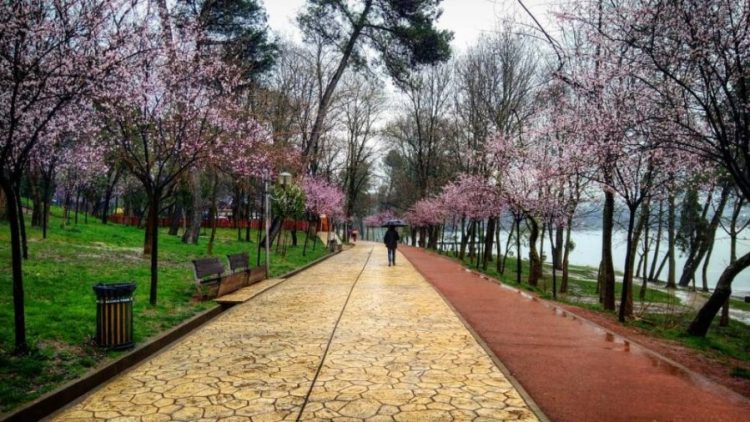 Rain throughout the country and lower temperatures / How will the weather be this Sunday