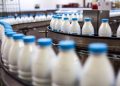 Farmer’s milk is 50% more expensive; Processors Association: Factory bankruptcy is at risk