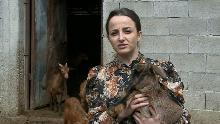 Livestock wants more money / For a shelter with 200 goats subsidy less than 2 thousand euros