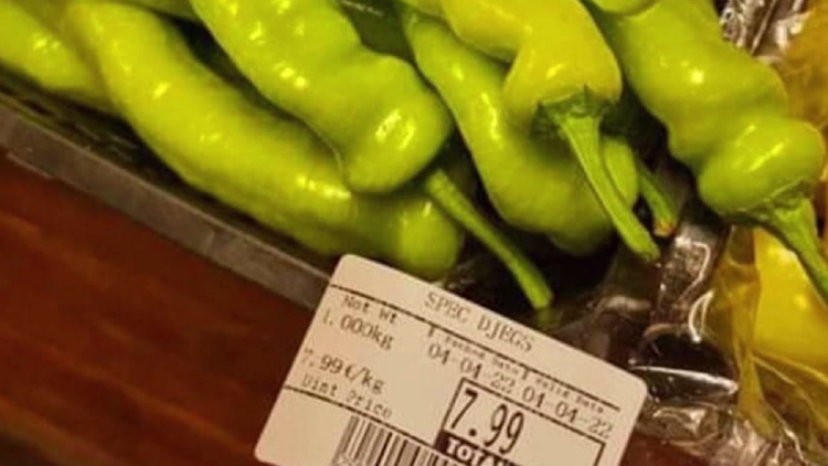 “Gold” peppers! In Kosovo, up to 8 euros per kilogram are sold
