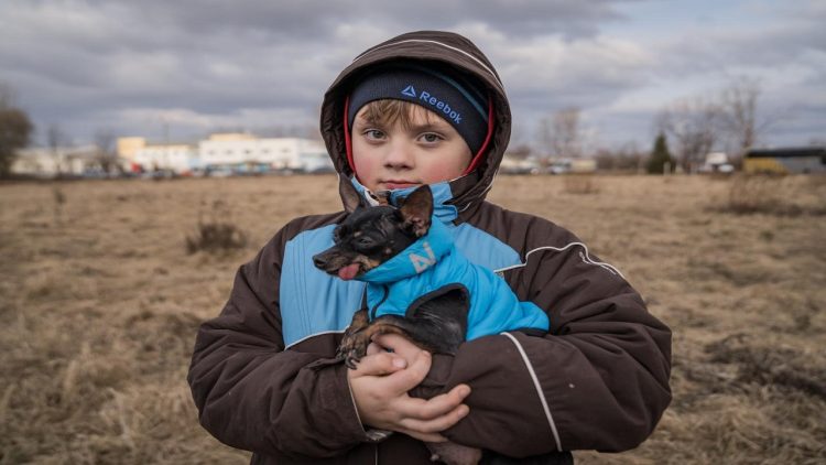 UN: 4.8 million children displaced from Ukraine by Russian occupation