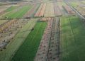 Agriculture, 146 million euros / Ipard3 benefits farmers’ projects from 10 thousand euros to 1 million euros