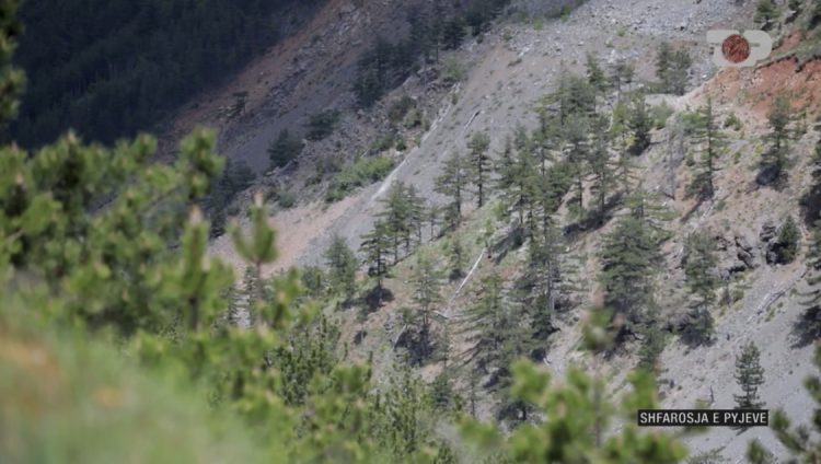 Inside Story / How the forests of Lura National Park disappeared