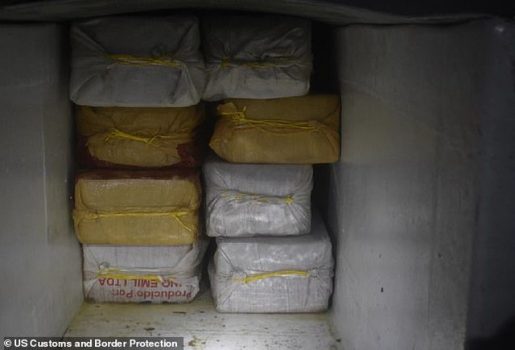 European report on cocaine: Albanian criminal networks strengthened