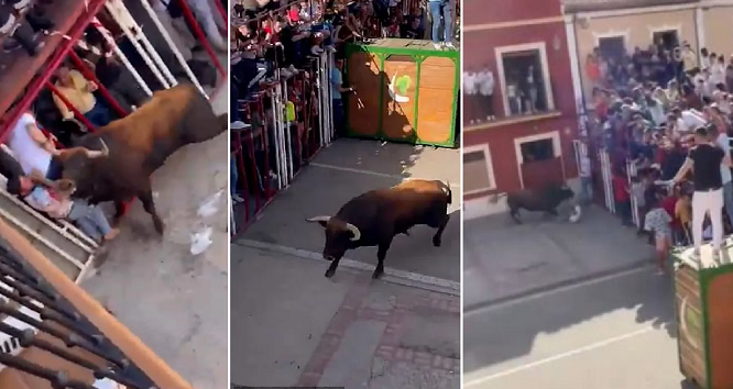 Horror festival / Father of two children stabbed to death by bull horn during Spanish festival (video-photo)