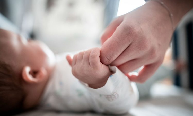 The number of births in Albania is falling / The number of deaths is also decreasing, which city holds the record after Tirana