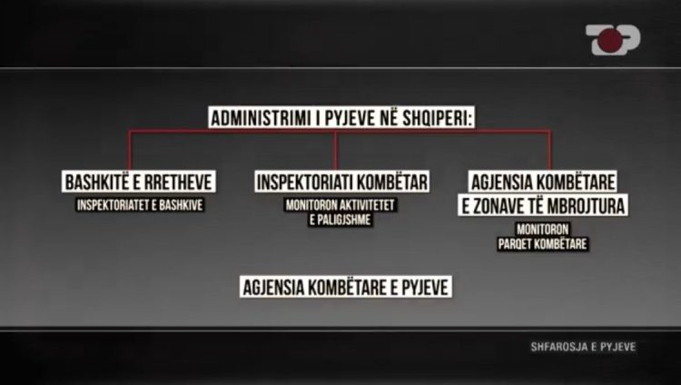 Inside Story / Fragmentation of forests in 61 municipalities. Experts: It is unconstitutional, forests national wealth