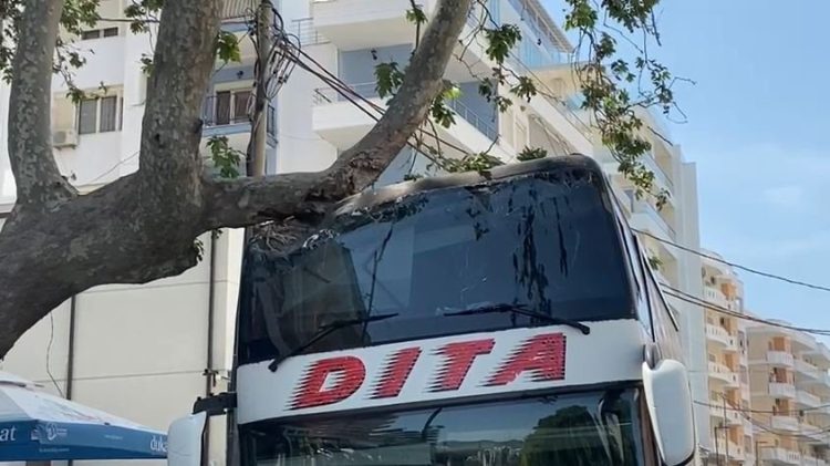 The bus with 50 tourists from Kosovo to Vlora collides with the tree (Views)