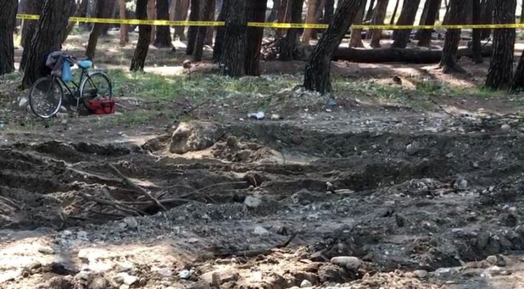 Bone remains found in Soda forest, what specialists suspect (Scenes from the scene)