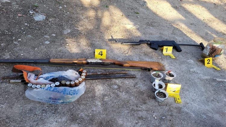 Daughter sued for violence / 36-year-old arrested in Kukës, cannabis weapons and saplings found