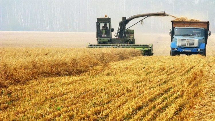 Lack of exports from Ukraine, up to 50 million people will face hunger