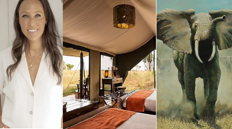 Pedagogy sues luxury holiday agency when elephant raids tend 4,000-a-week tent in Tanzanian park (photos)