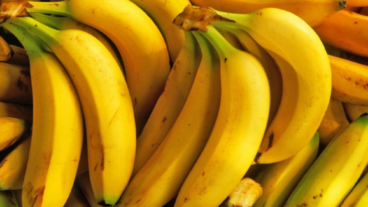What foods can you eat in the morning and what not?