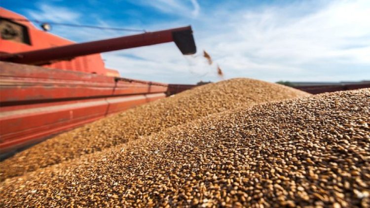 Wheat Imports / War changed prices and places of trade