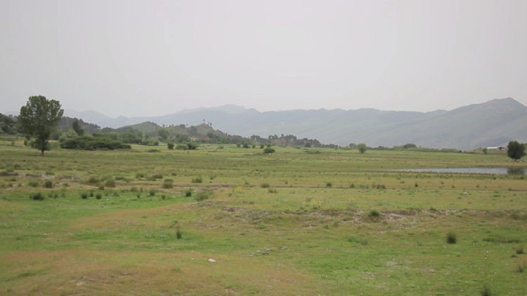 Climate change in the Balkans. Head of the Athens Observatory: The situation is deteriorating