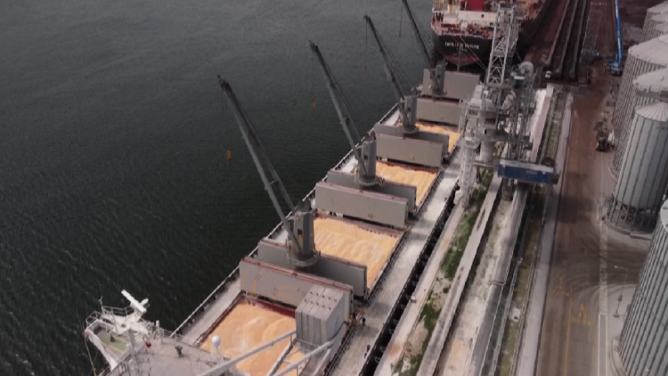 25 million tons of Ukrainian grain blocked, UN: Black Sea ports closed