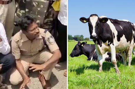 Two men beaten to death by mob over allegations of ‘killing cow’ in India (photos)