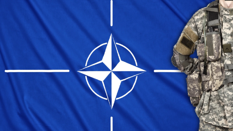 Turkey is seeking concrete action from Sweden and Finland on NATO bids