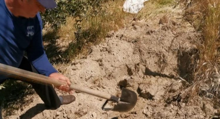 A skeleton is discovered in Ardenica, suspected to belong to an Italian soldier