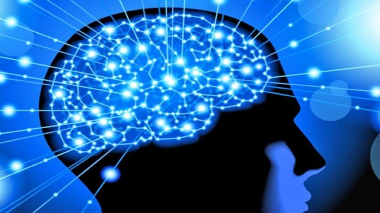 What does the brain do when we are asleep?
