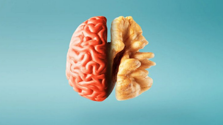 Brain power / Here are the best vitamins