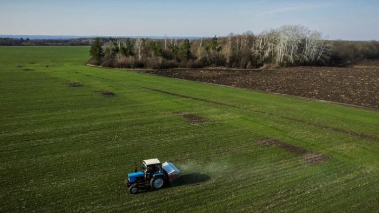 UN: World food prices are falling slightly