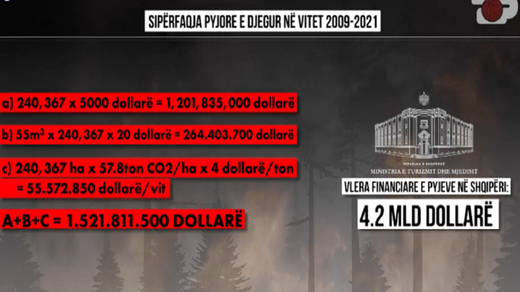 Inside Story / Colossal losses, in just 12 years we have set fire to a fortune of 1.5 billion dollars